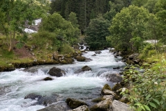 zIMG_4746