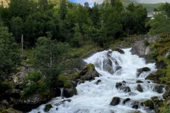 zIMG_4750