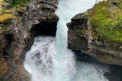 zIMG_4901