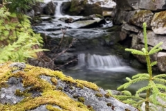 zIMG_4913
