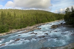 zIMG_5204