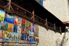 zIMG_5586