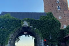 zIMG_5641