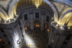 T1_downview