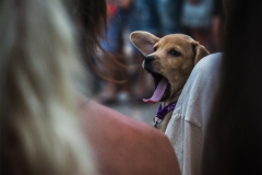 t1_puppy