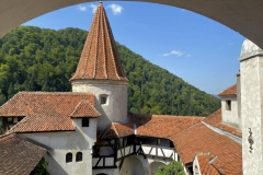 BIMG_7492