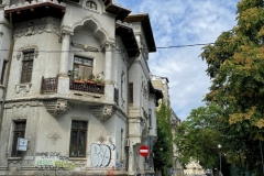 zIMG_7646