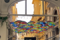 zIMG_7666