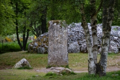 A36