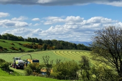 BIMG_0343