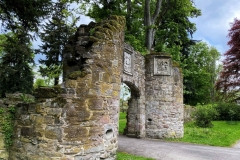 BIMG_0517