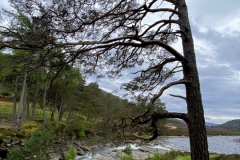 BIMG_0662