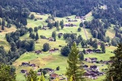 A23