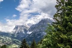 A31