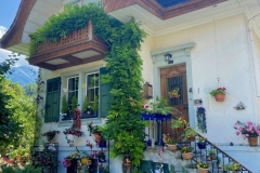 BIMG_2464