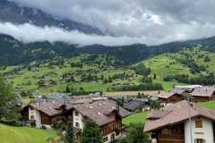 BIMG_2560