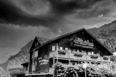 ZIMG_2511