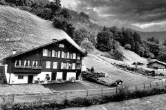 ZIMG_2525