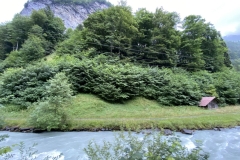 ZIMG_2528