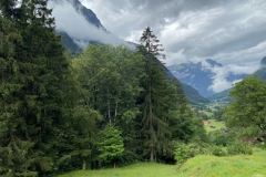 ZIMG_2534