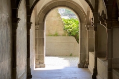 zIMG_2417