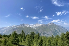 zIMG_2785