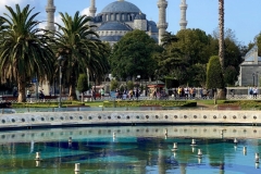BIMG_7823