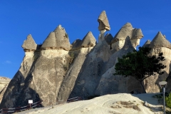 BIMG_8026