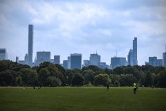 T1_ny